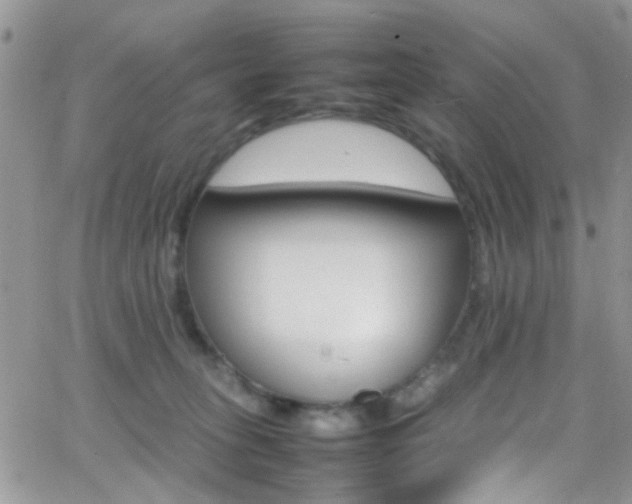 X0000066540275200603171248