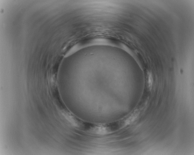 X0000066540276200603171248