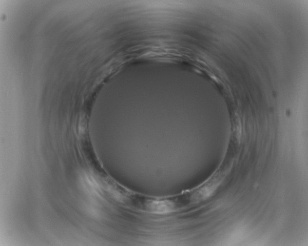 X0000066540277200603171248