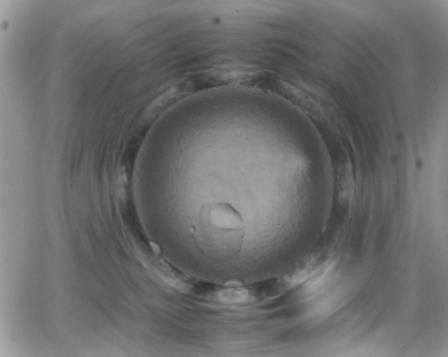 X0000066540279200603171248