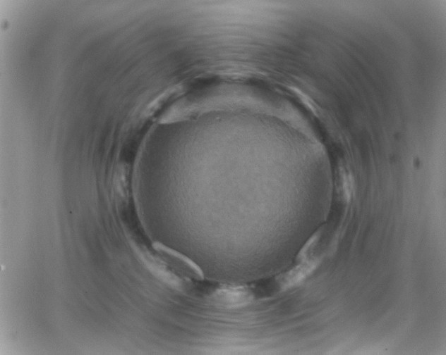 X0000066540280200603171248