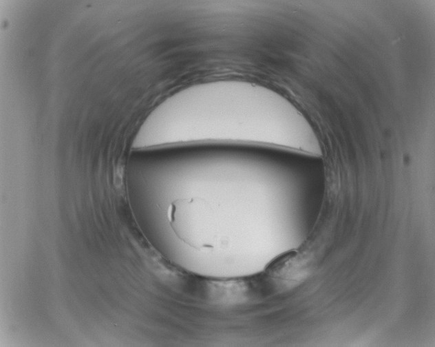 X0000066540281200603171248