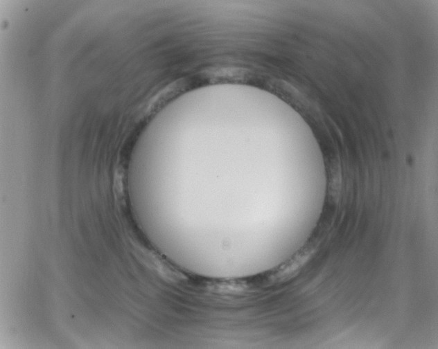 X0000066540282200603171248