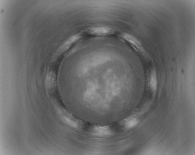 X0000066540283200603171248