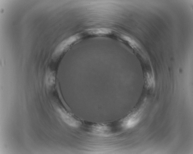 X0000066540284200603171248