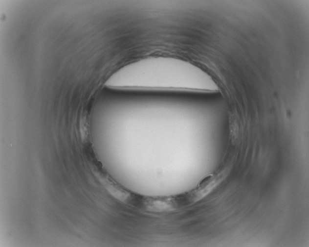 X0000066540285200603171248