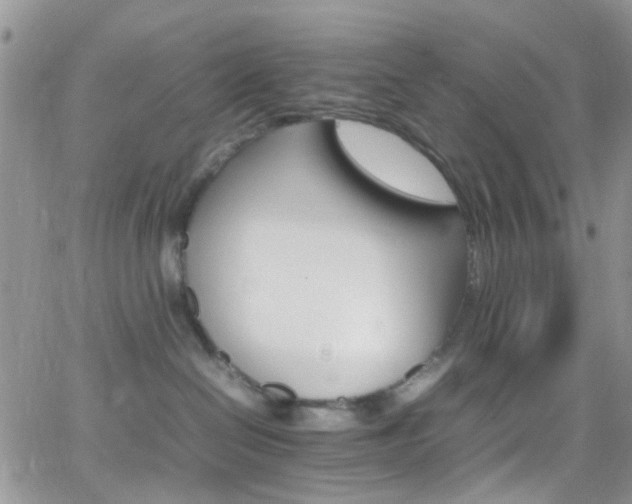 X0000066540286200603171248