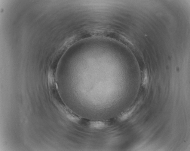 X0000066540287200603171248