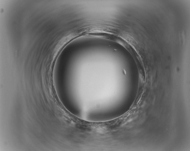 X0000066540289200603171247