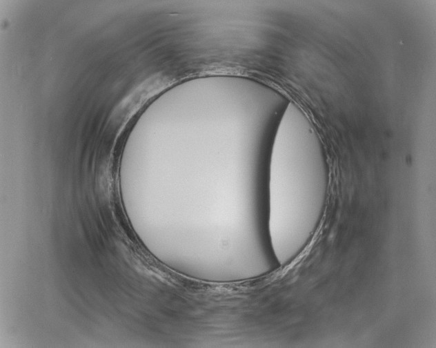 X0000066540290200603171247