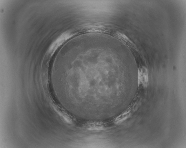 X0000066540291200603171247