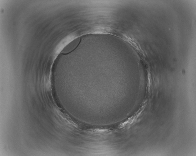 X0000066540292200603171247