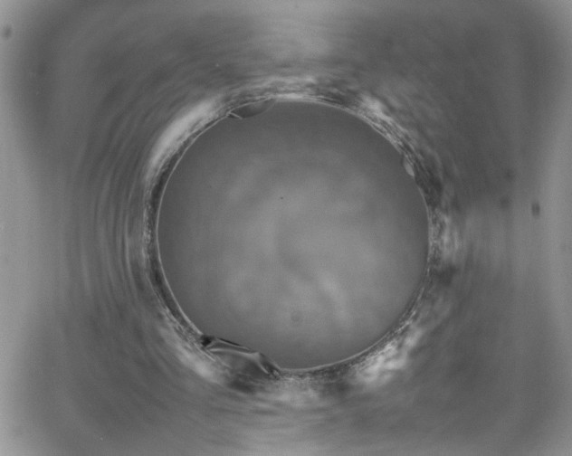 X0000066540293200603171247