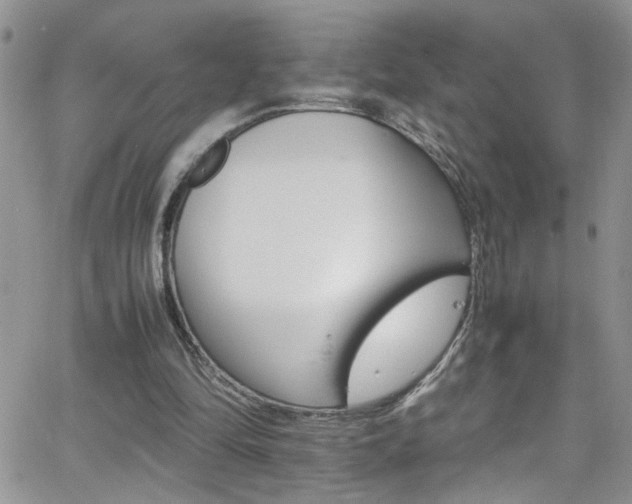 X0000066540294200603171247