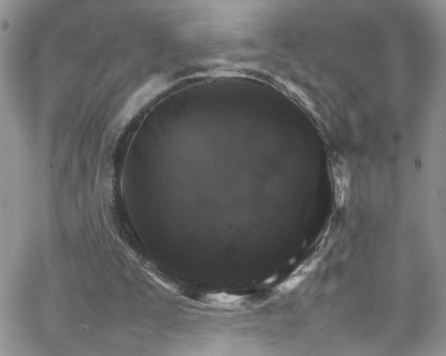 X0000066540295200603171247