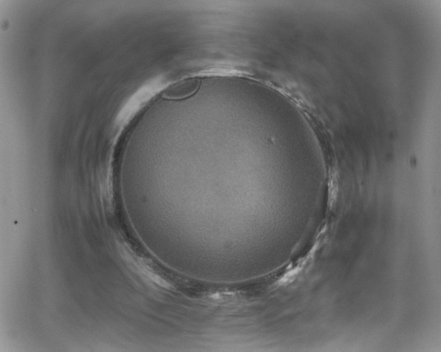 X0000066540296200603171247