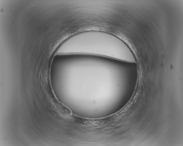 X0000066540297200603171247