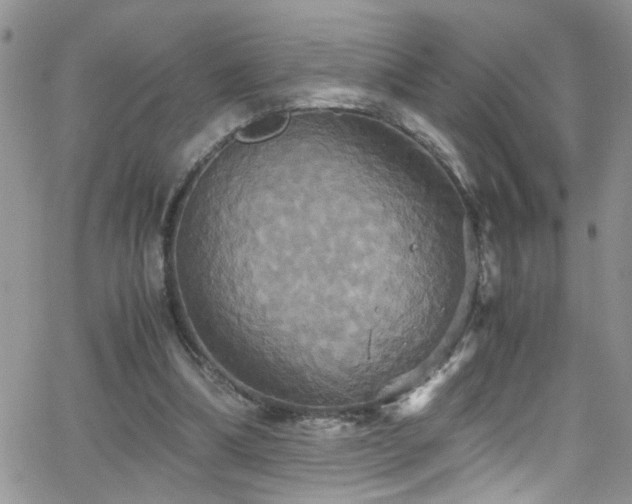 X0000066540298200603171247