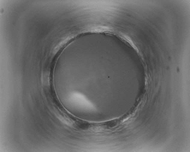 X0000066540299200603171247