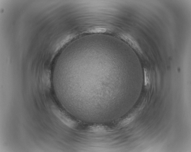 X0000066540300200603171247