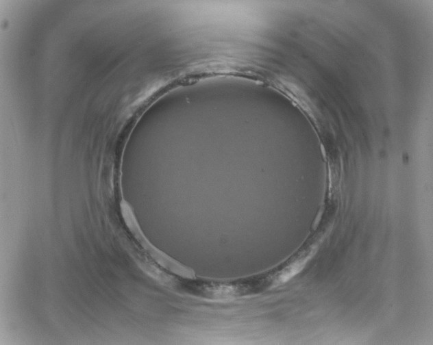 X0000066540301200603171247