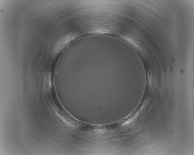 X0000066540302200603171247