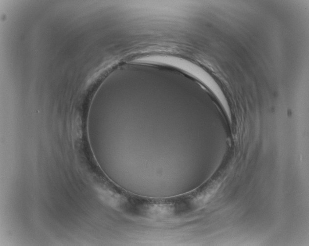 X0000066540303200603171247