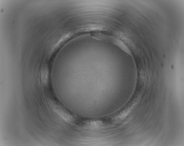 X0000066540304200603171247