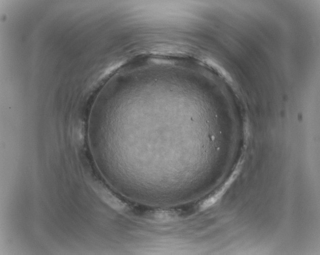 X0000066540305200603171247