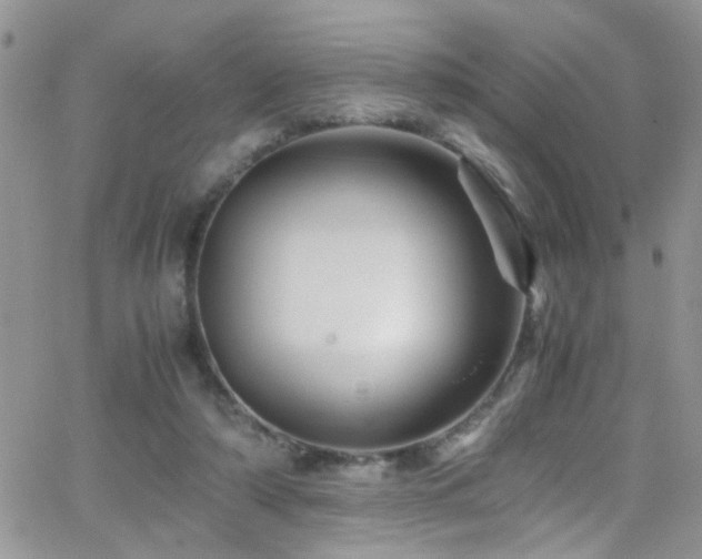 X0000066540306200603171247