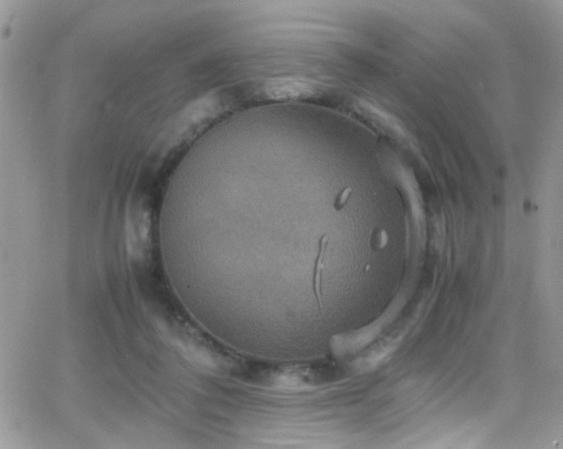 X0000066540308200603171247