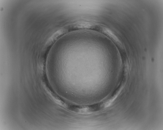 X0000066540309200603171247