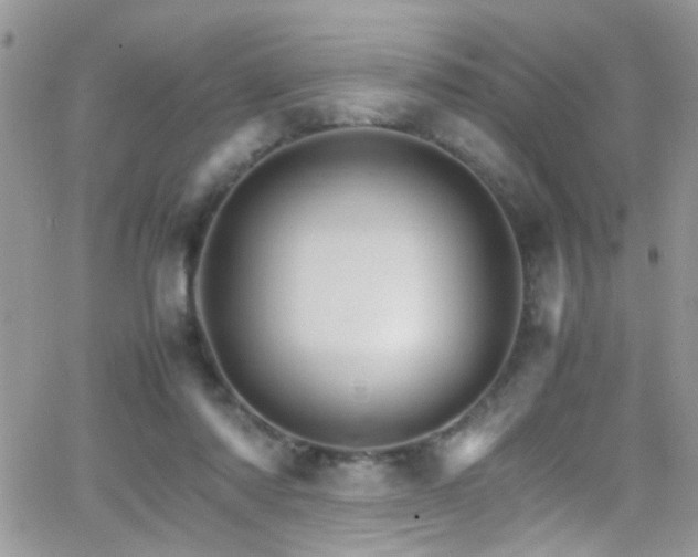 X0000066540310200603171247