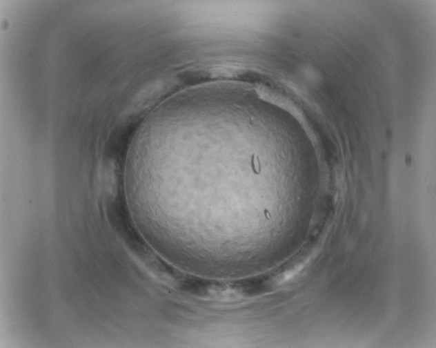 X0000066540311200603171247