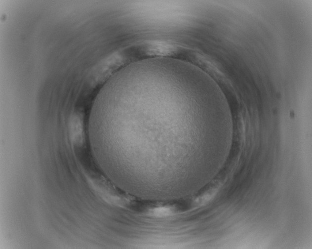 X0000066540312200603171247