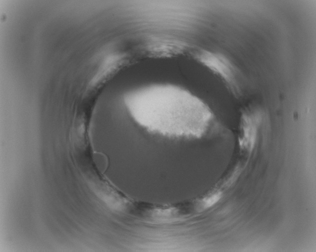 X0000066540314200603171247