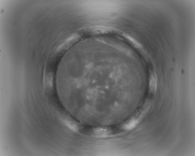 X0000066540315200603171247