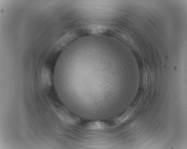 X0000066540316200603171247