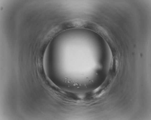 X0000066540317200603171247