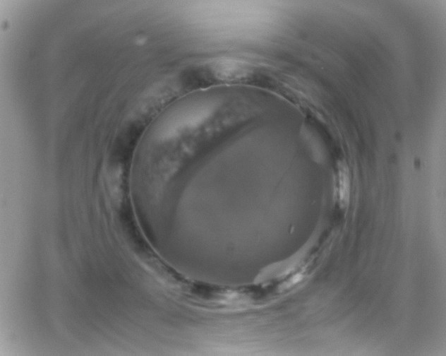 X0000066540319200603171247