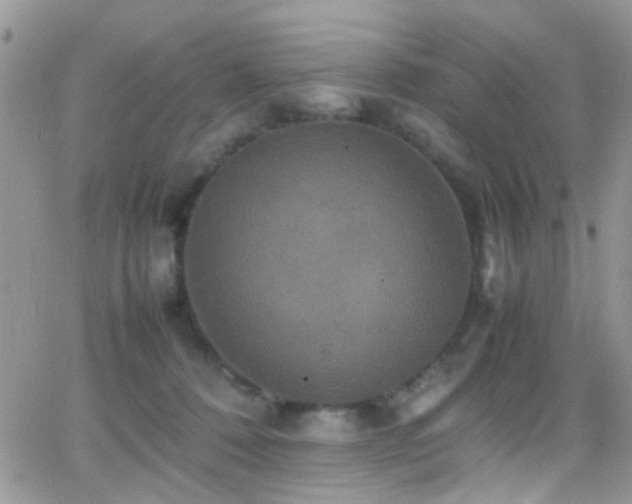 X0000066540320200603171247