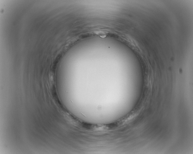 X0000066540321200603171247