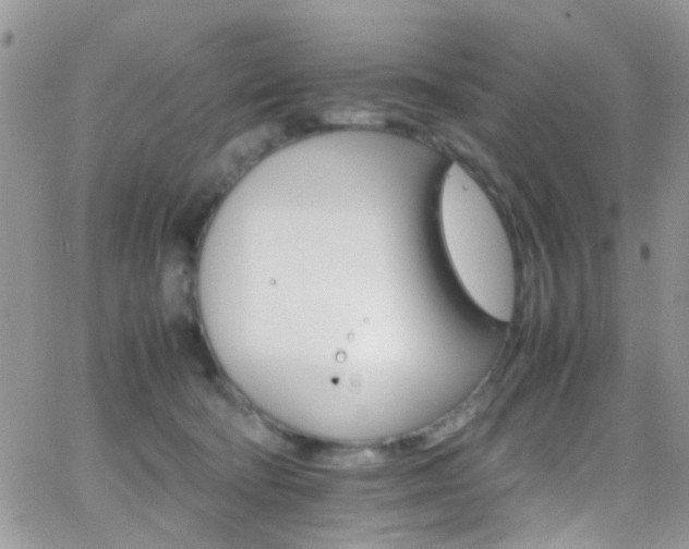 X0000066540322200603171247