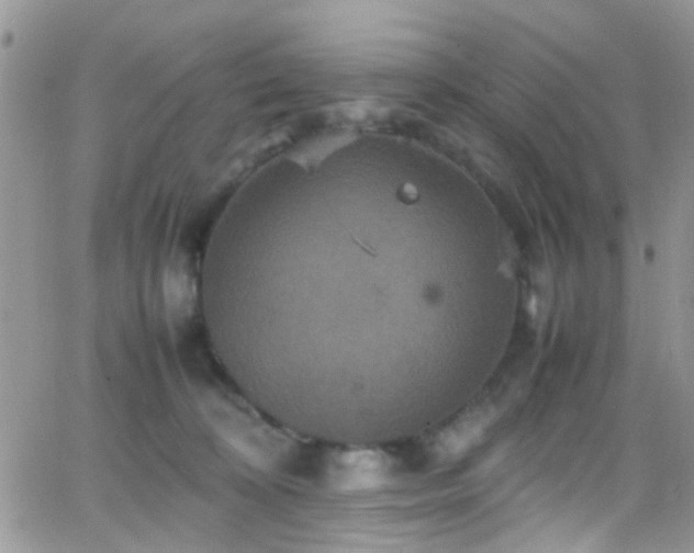 X0000066540324200603171247