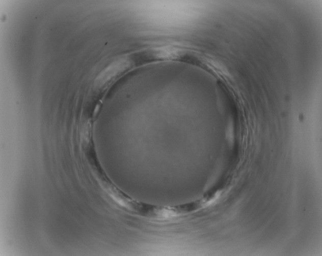 X0000066540325200603171247