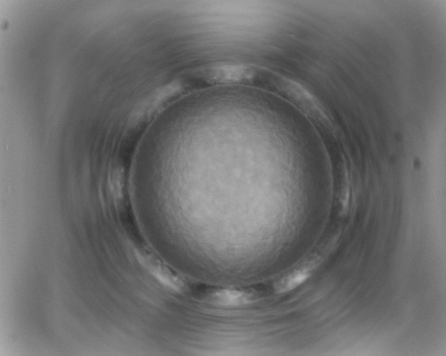 X0000066540326200603171247