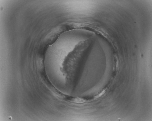 X0000066540327200603171247