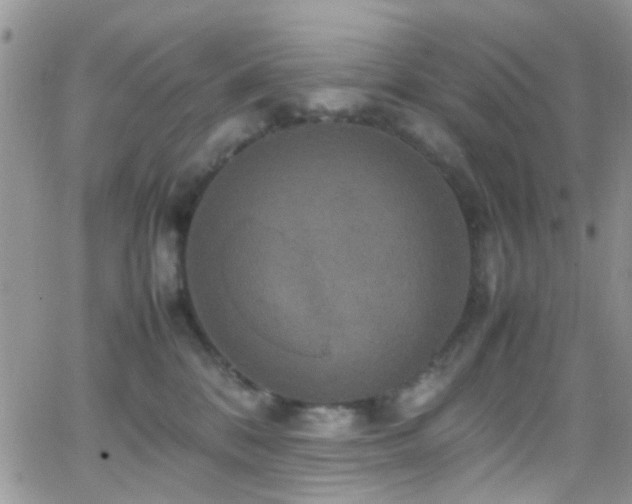 X0000066540328200603171247