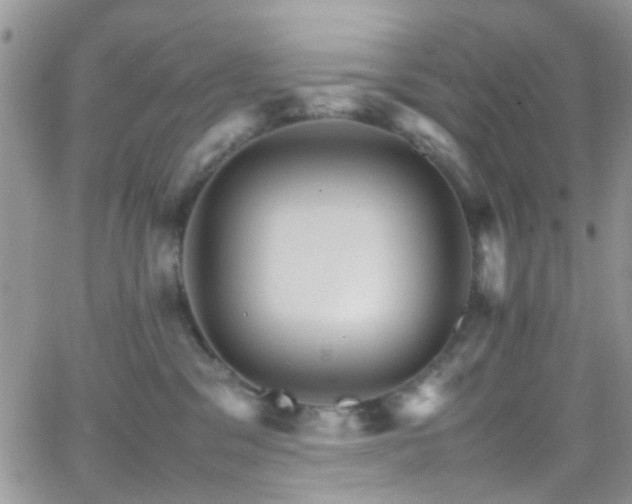 X0000066540329200603171247