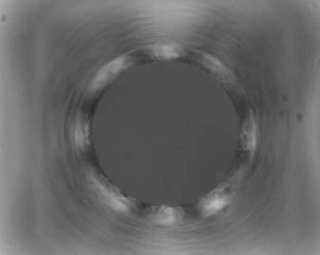 X0000066540330200603171247